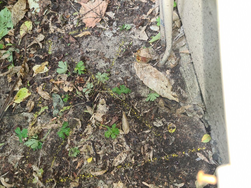 Leakage Found Beside the House — Melbourne, VIC — The Leak Detector — Melbourne, VIC — The Leak Detector