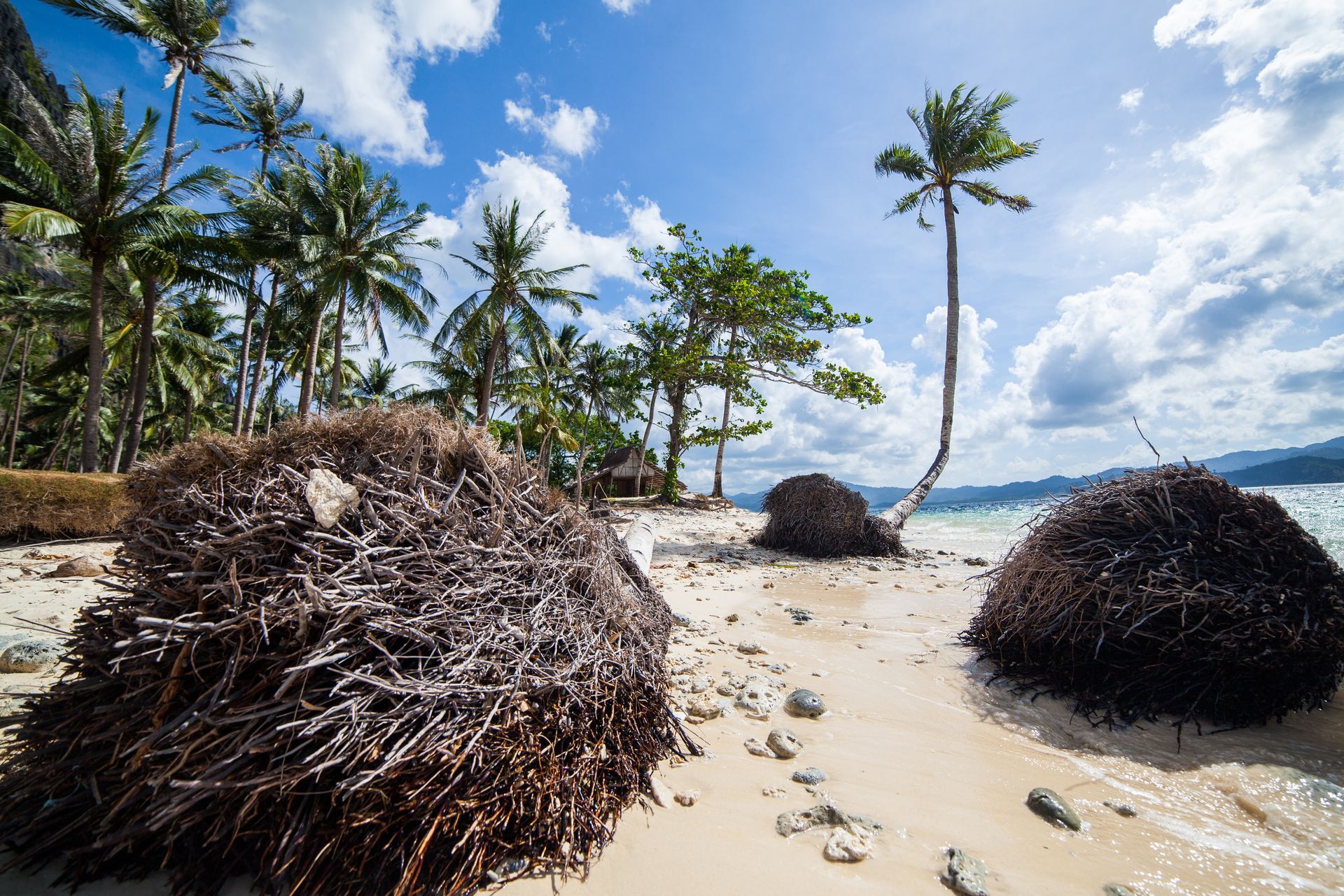 Make the Most of the Slow Season: The Perfect Time for Car Repairs | The Shop on Vieques