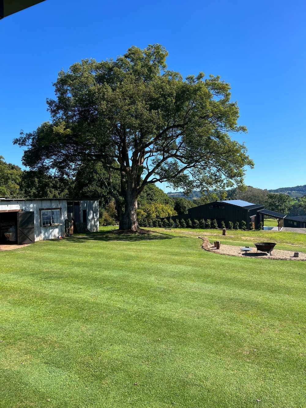 A Large Grassy Field With A Fence And Trees In The Background On A Sunny Day — The Garden Folk In Ballina, NSW
