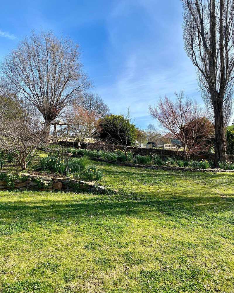 A Man Is Using A Lawn Mower To Cut The Grass In A Park — The Garden Folk In Suffolk Park, NSW