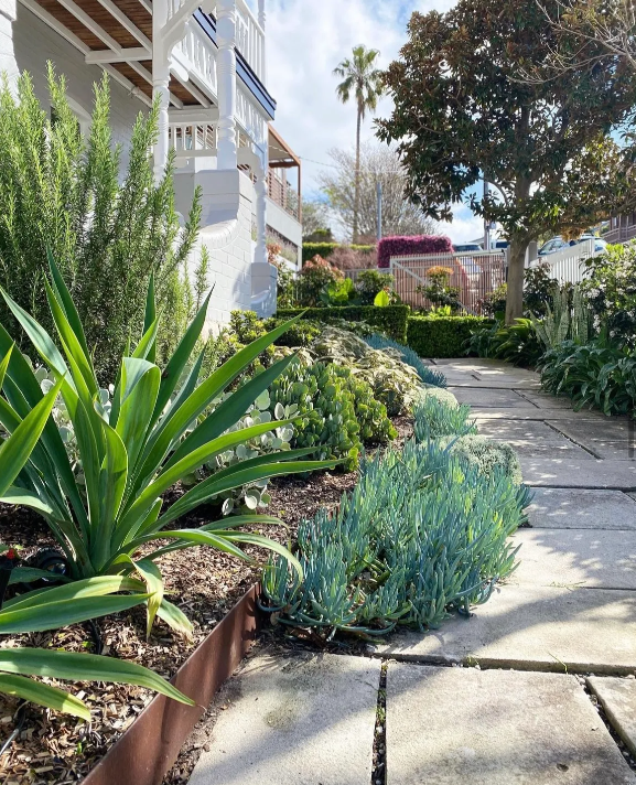 A Dirt Yard With A Wooden Fence And Trees In The Background — The Garden Folk In Suffolk Park, NSW