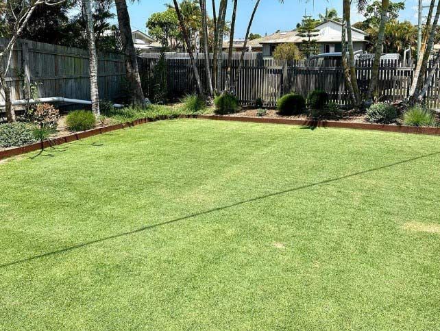 A Lush Green Lawn With A Fence And Trees In The Background — The Garden Folk In Suffolk Park, NSW