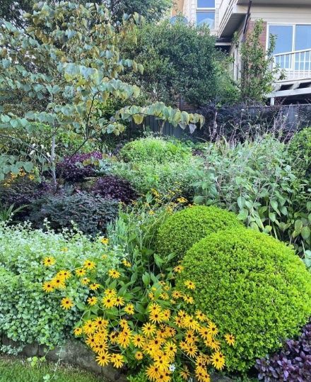 A Garden Filled With Lots Of Plants And Flowers With A House In The Background — The Garden Folk In Lennox Head, NSW