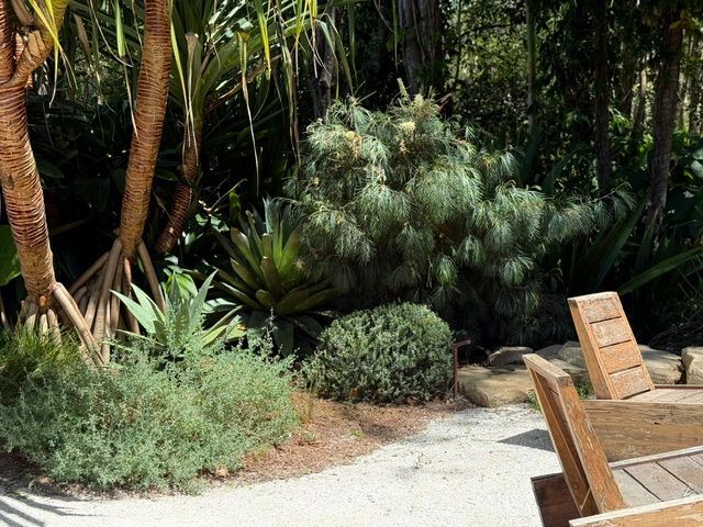 A Garden Filled With Lots Of Plants And Grass — The Garden Folk In Ballina, NSW