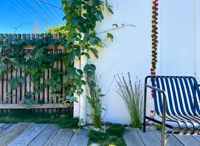 A Garden Filled With Lots Of Plants And Grass — The Garden Folk In Ballina, NSW