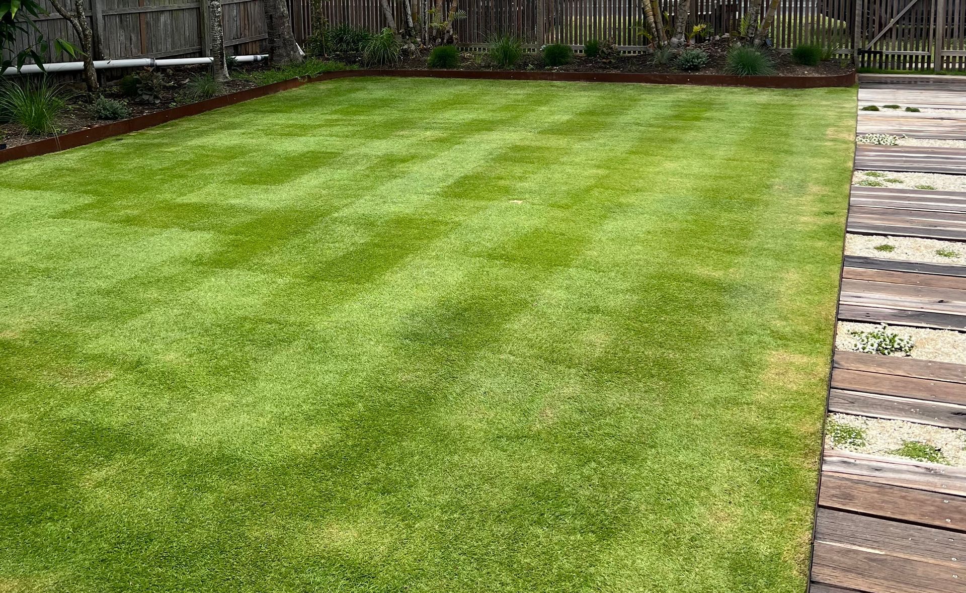 A Lush Green Lawn With A Wooden Walkway In The Background — The Garden Folk In Ballina, NSW