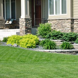 Choose our landscaping services