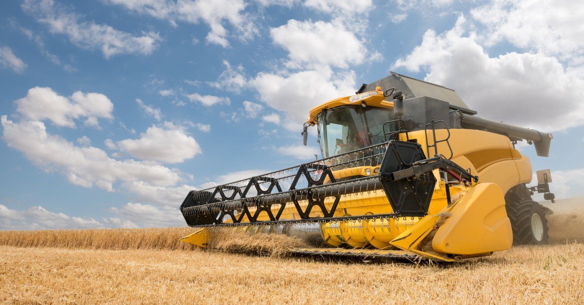 A black and yellow combine in the process of harvesting a field beneath a blue sky with clouds during the day.