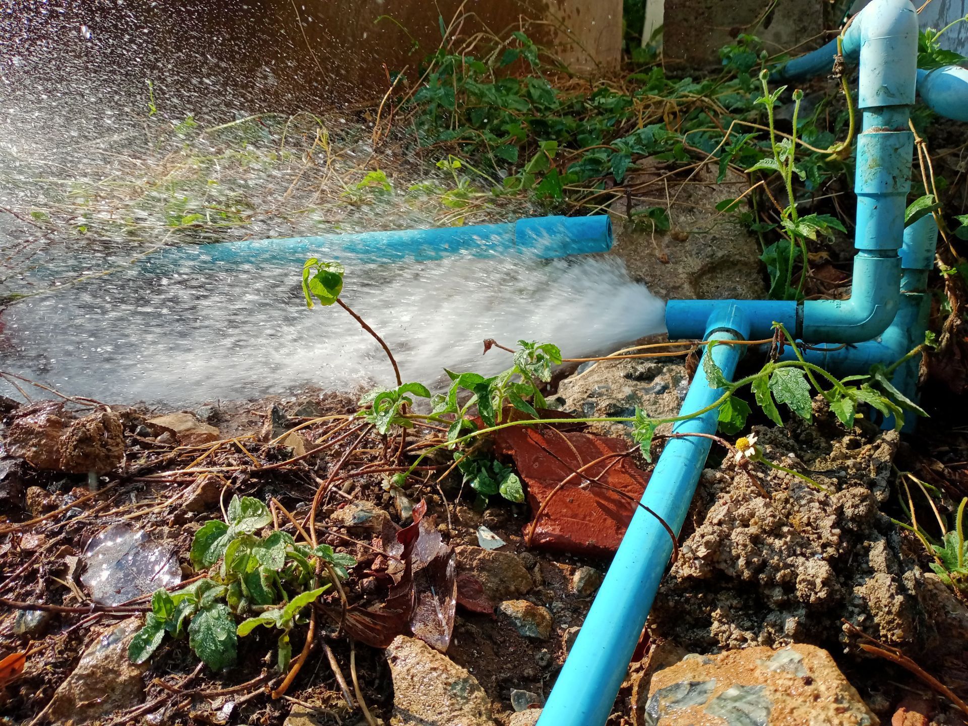 Blue PVC pipe spraying water over garden soil and plants in an outdoor area