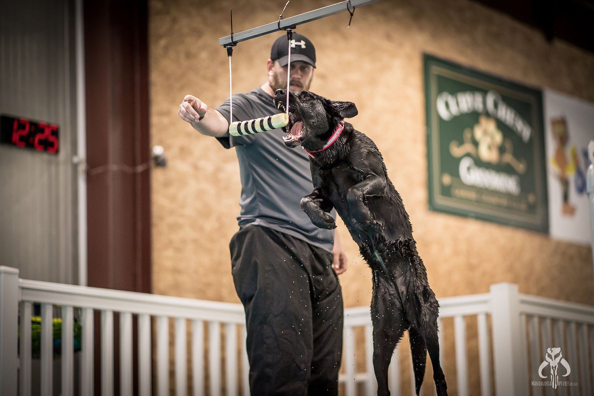 Man training dog — Oshkosh, WI — The Doggie Paddle
