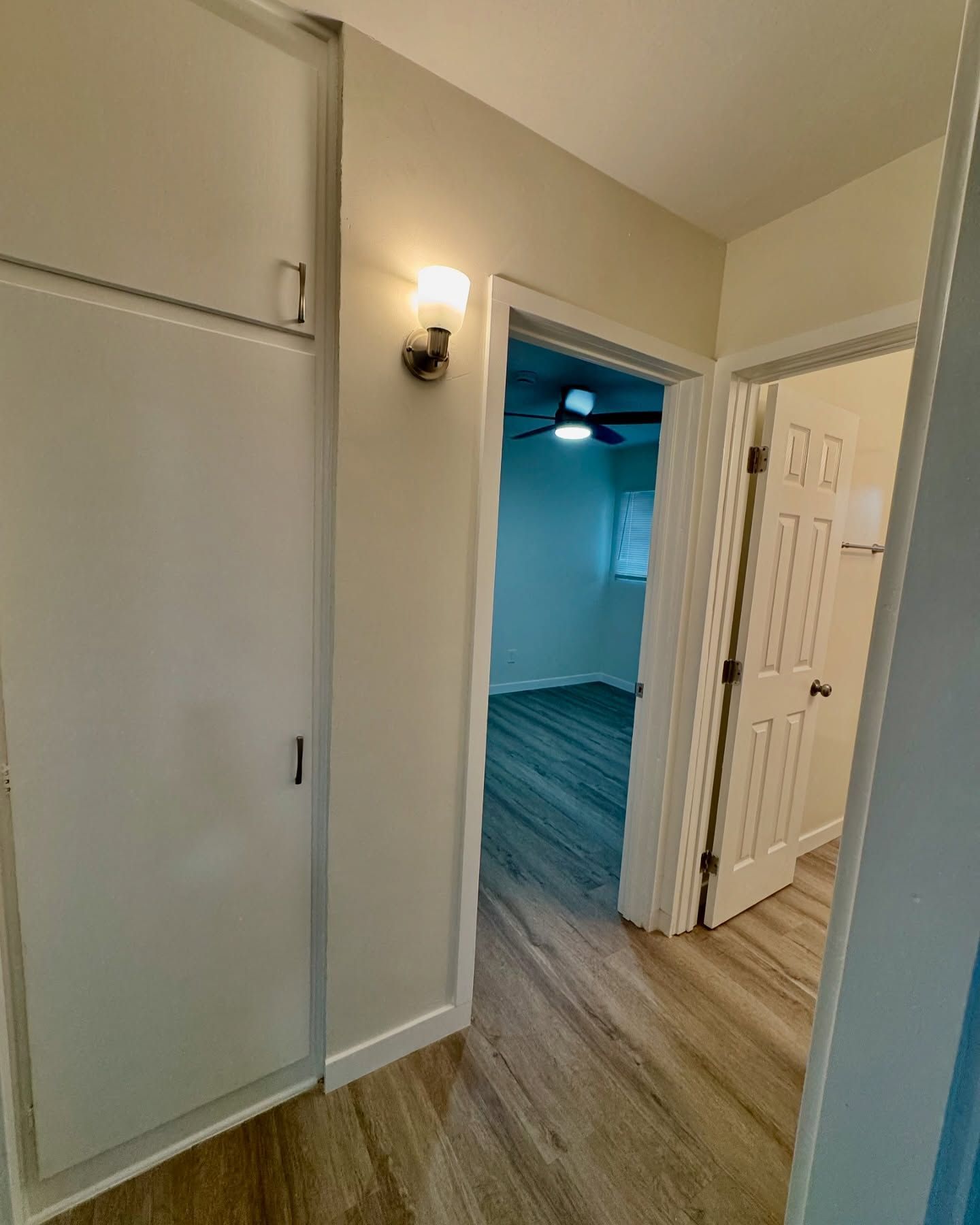 Hallway with built-in closet, light fixture, and two doorways leading to rooms with wood-look flooring.