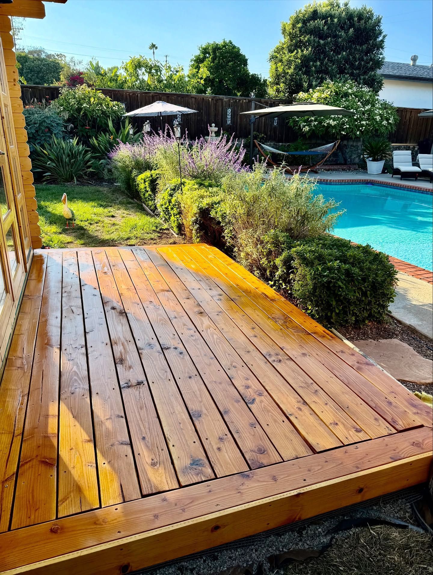 Wooden deck with water, beside a swimming pool, and garden on a sunny day.