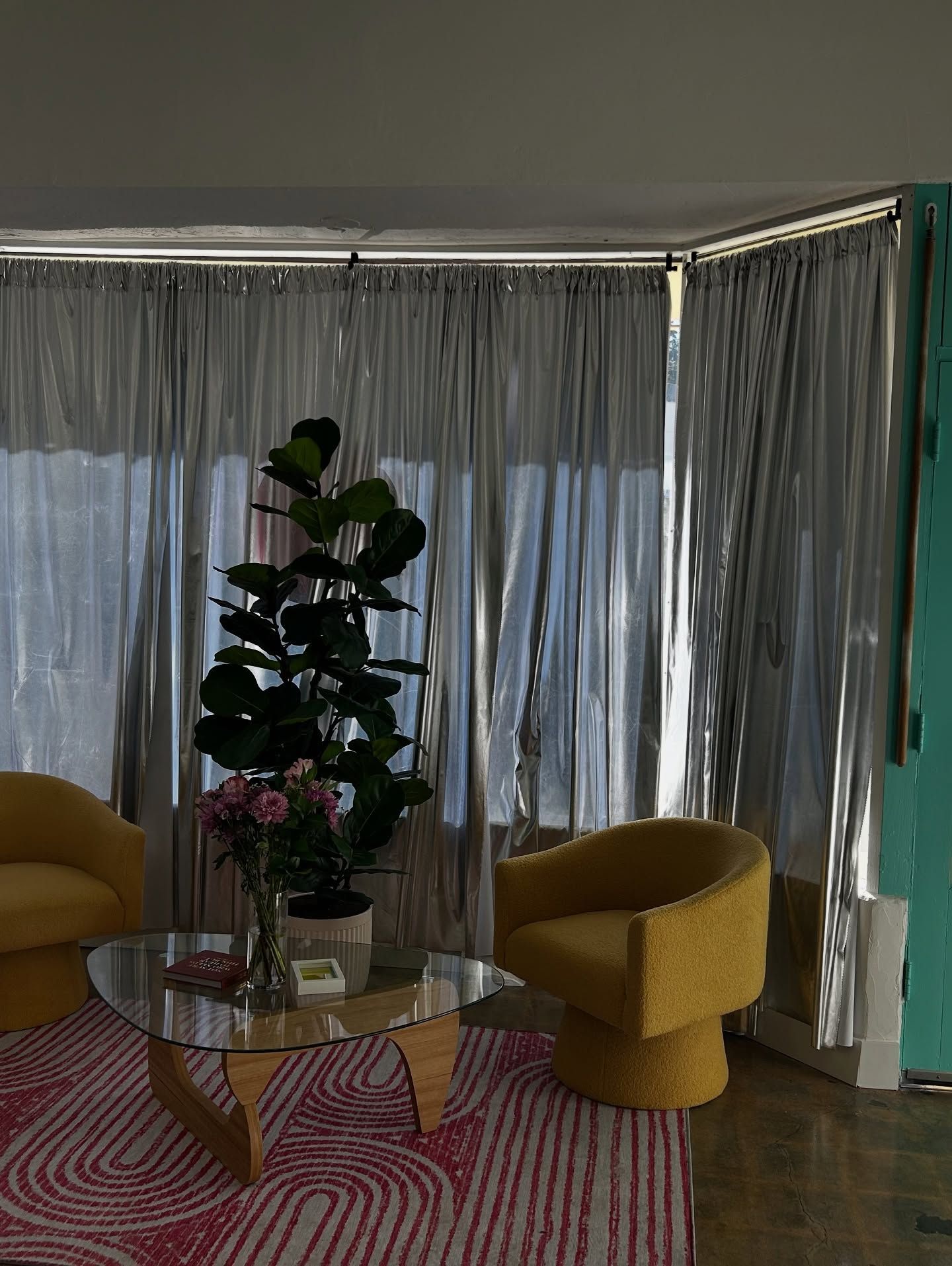 Living room with round yellow chairs, glass coffee table, pink rug, and a large plant. Sheer curtains.