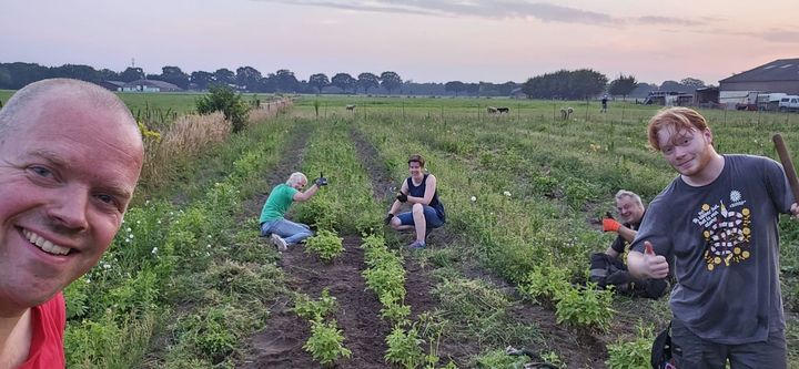 Een groep mensen werkt in een plantenveld.