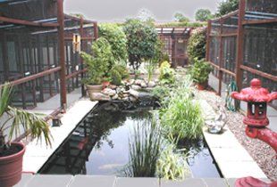 well-maintained cattery