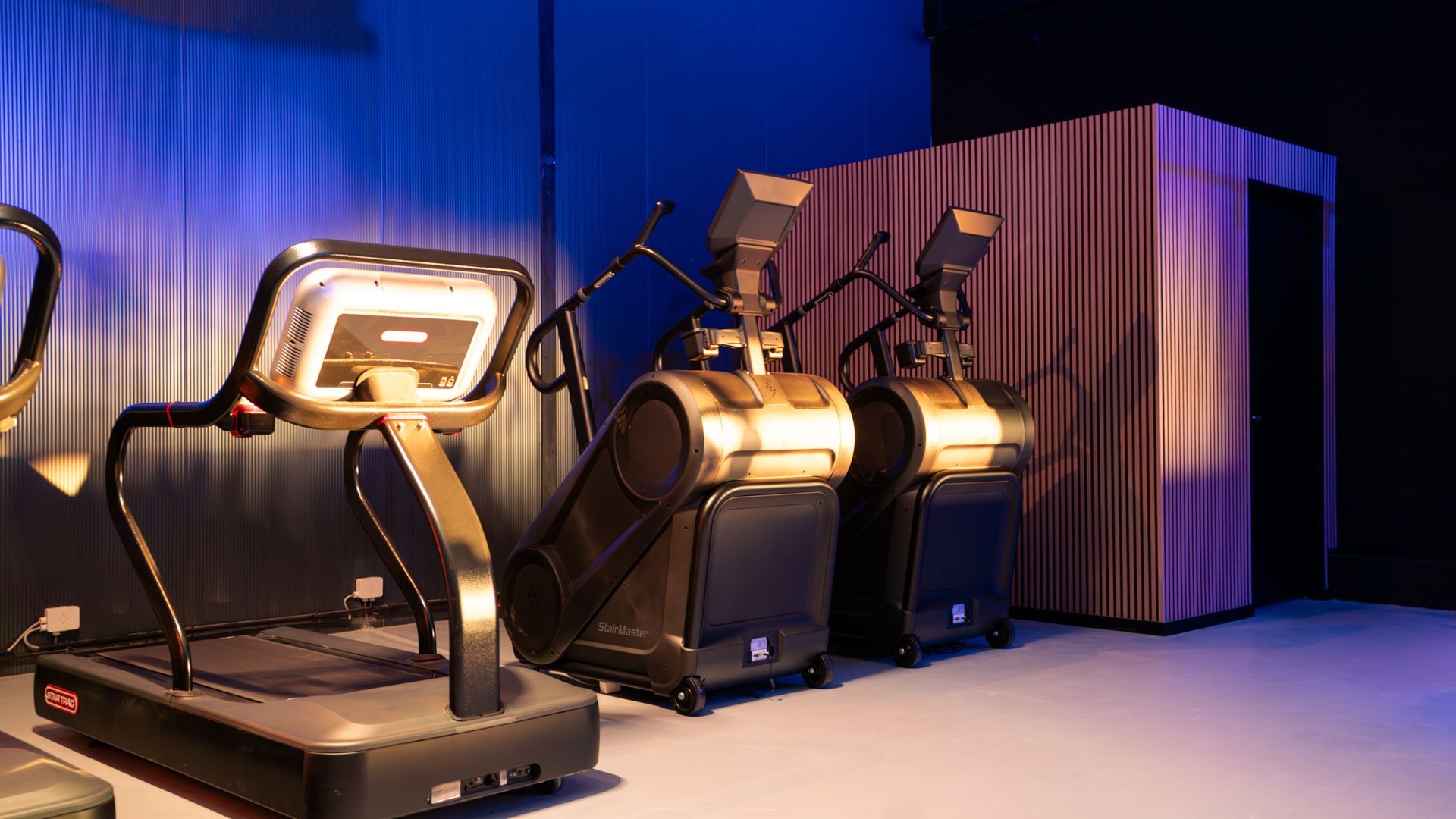 Rijen zwarte halters op een rek in een sportschool, tegen een onscherpe achtergrond.