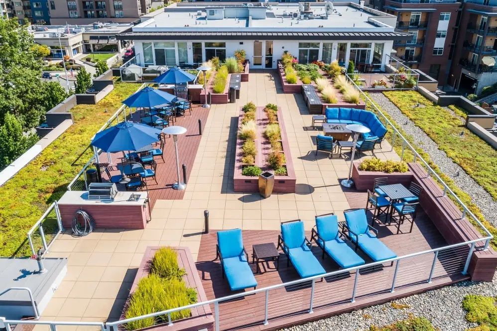 Rooftop patio with seating, umbrellas, loungers, and greenery. Building is white with a green roof.