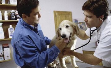 Veterinary Clinic | Bath, Ohio | Bath Veterinary Clinic