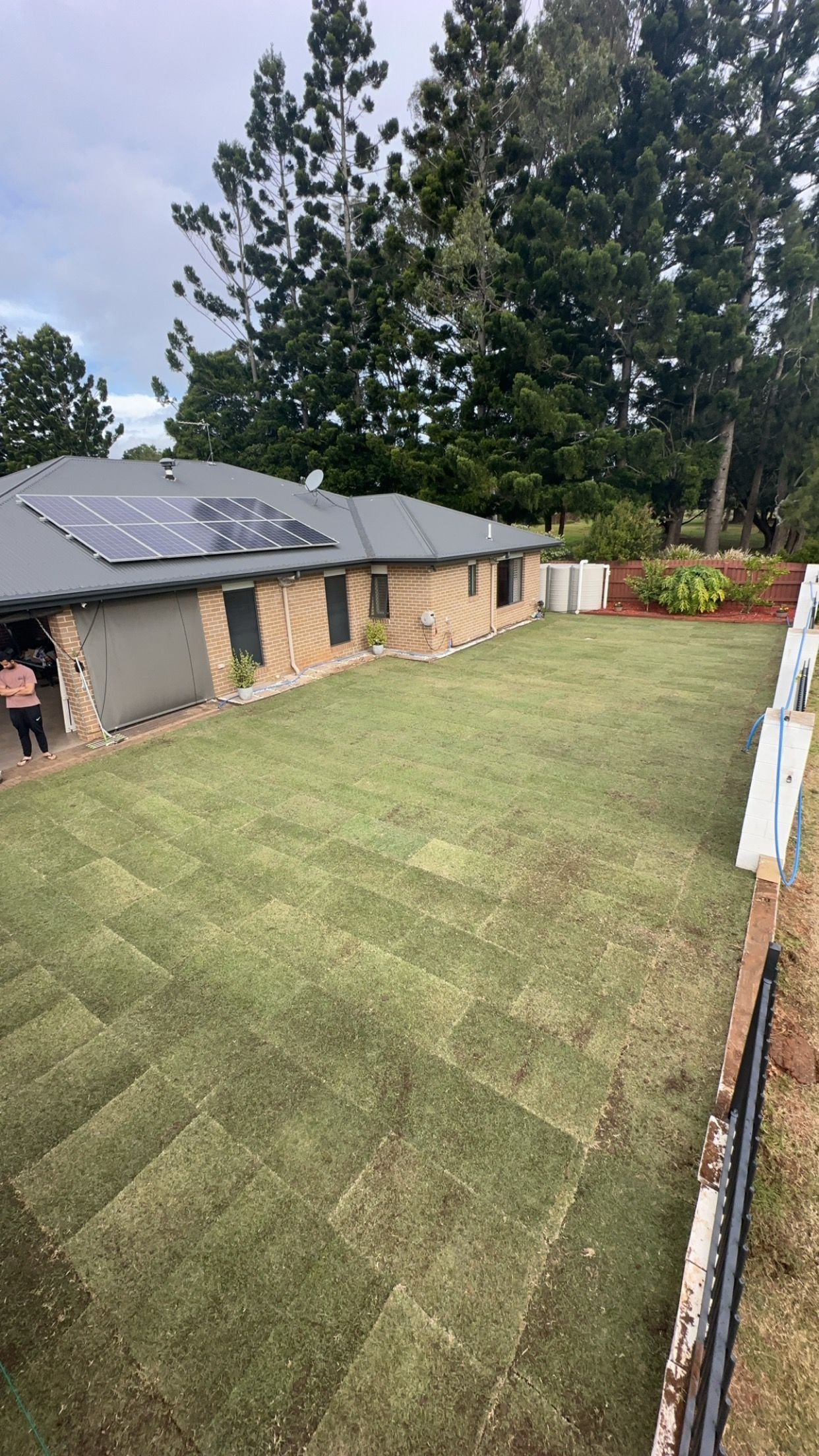 A Person Is Mowing A Lush Green Lawn With A Lawn Mower — Joe's Turf In Warwick, QLD