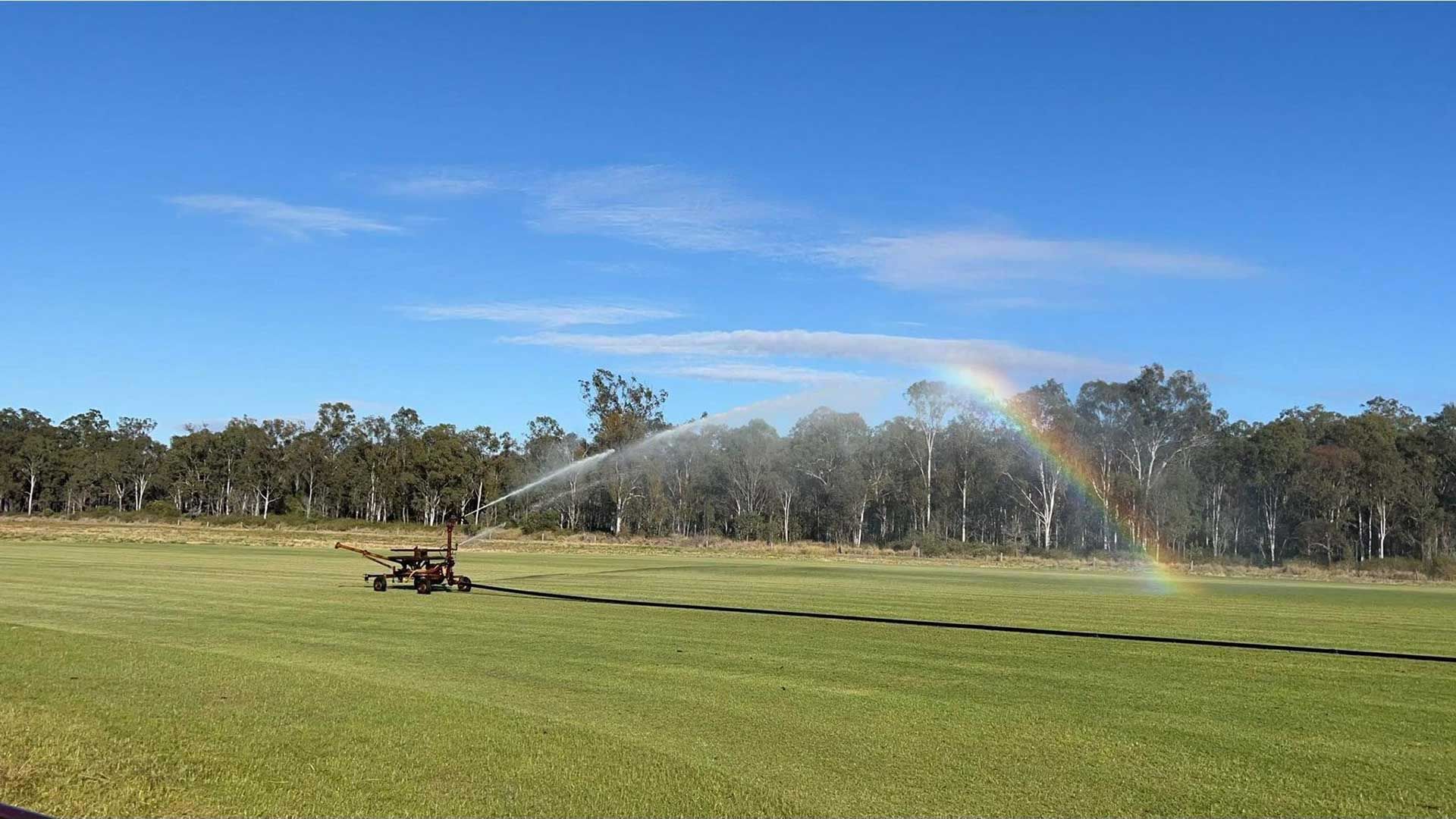 A Sprinkler Is Spraying Water On A Lush Green Field With A Rainbow In The Background — Joe's Turf In Spring Creek, QLD
