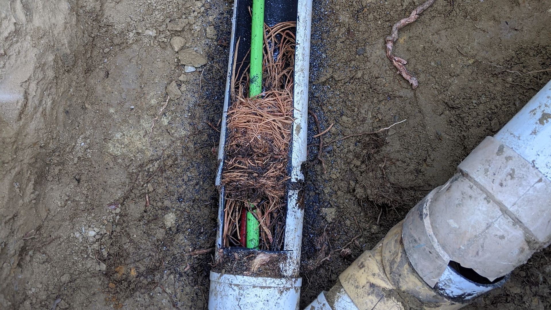 Cut-open PVC pipe with roots and wires inside, in dirt. White pipe and green wires visible.