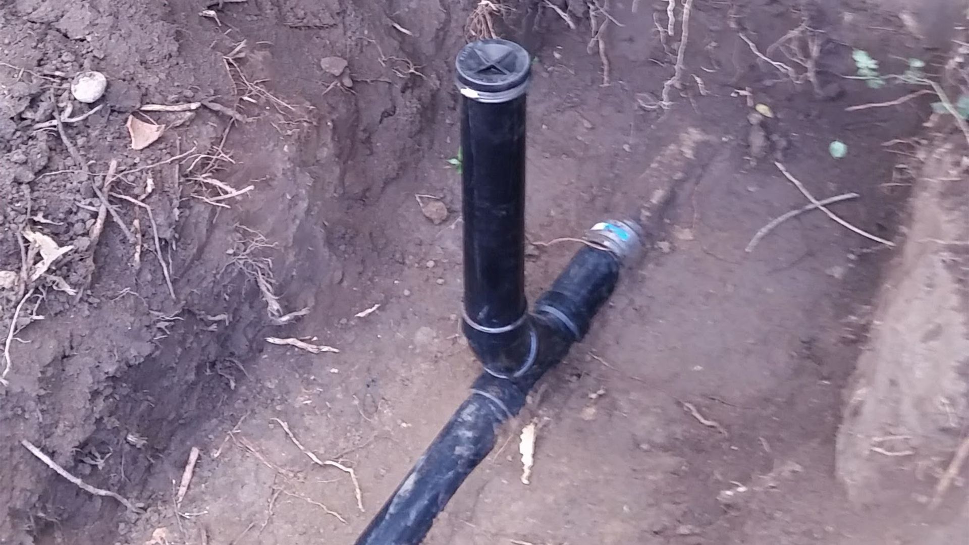 Black irrigation pipe fitting with sprinkler head, installed in soil.
