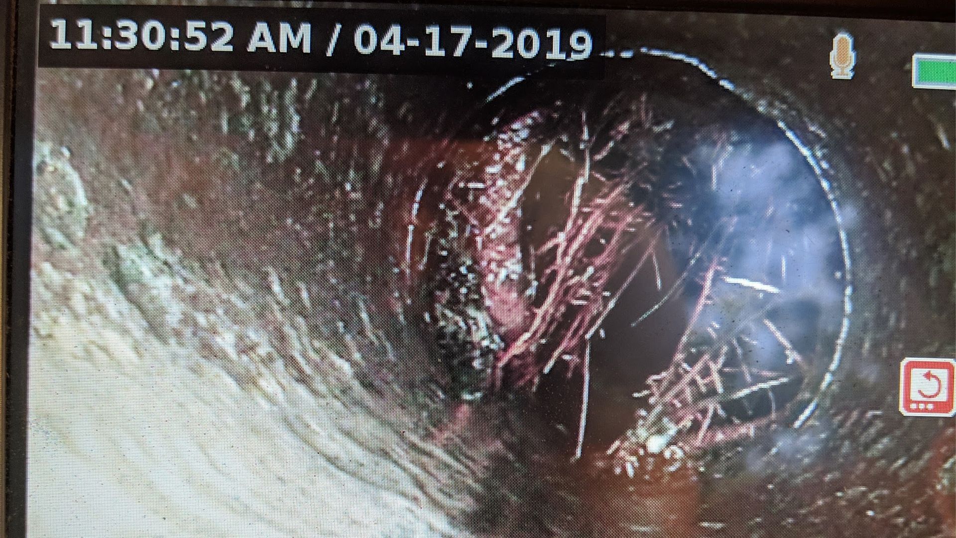 Inside view of a pipe with reddish-brown fibrous material, dated April 17, 2019, at 11:30 AM.