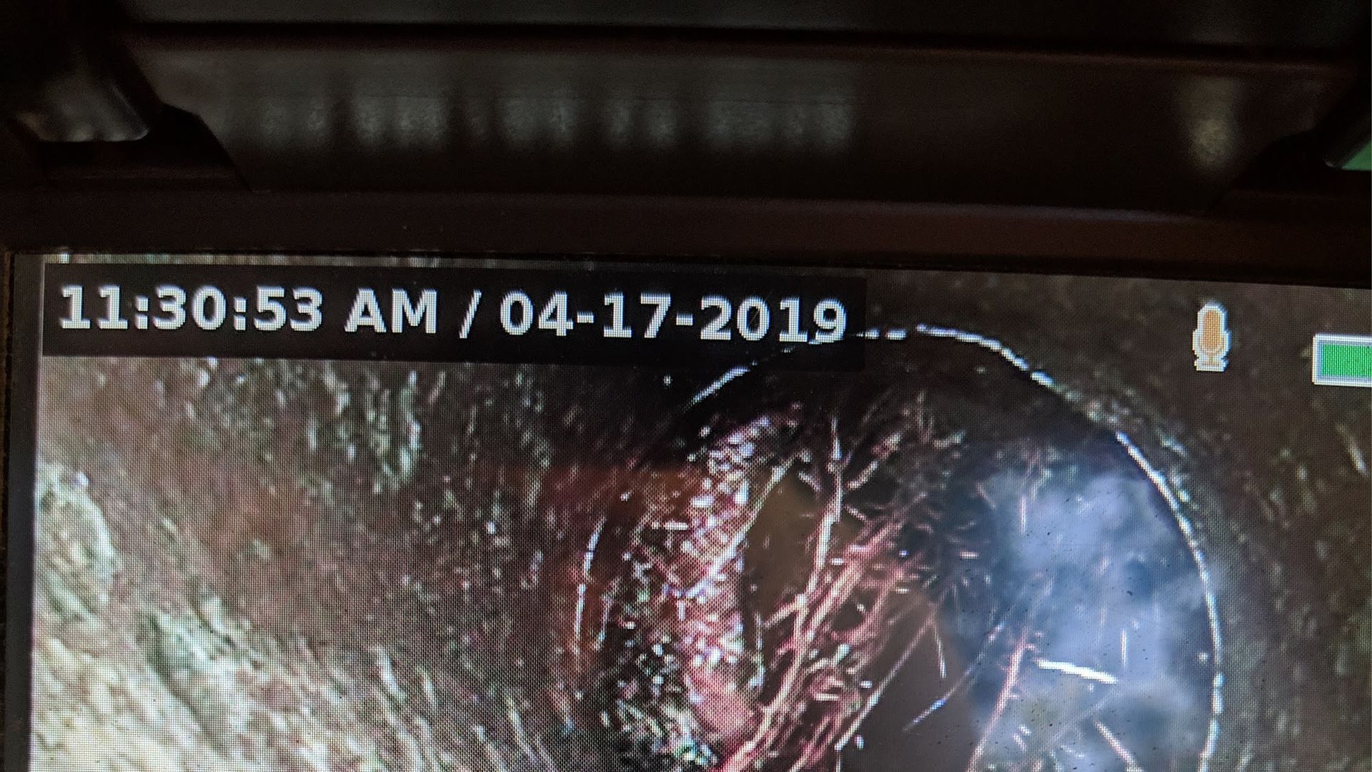 Camera view of a pipe interior, timestamped 11:30:53 AM / 04-17-2019. Dark with some red and white fibers.
