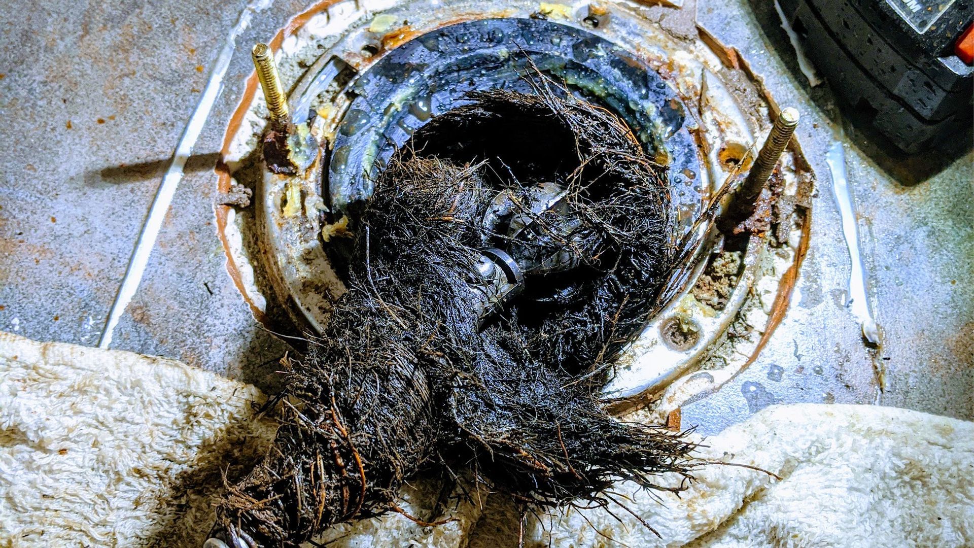 Toilet flange clogged with dark hair and debris.
