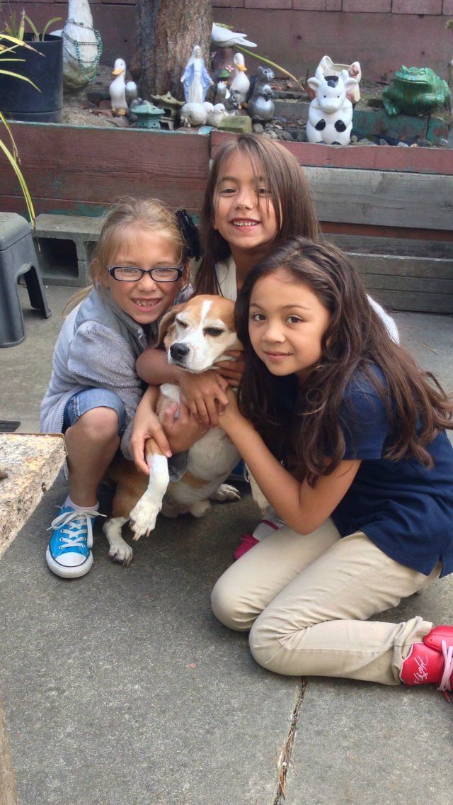 three young girls are posing for a picture with a dog .