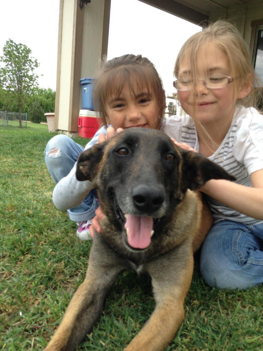 two young girls petting a brown dog in the grass