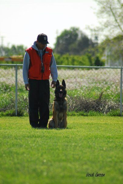 a man standing next to a german shepherd on a leash