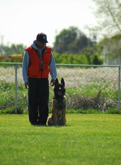 Bay Area boarding and training