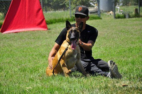 a man is sitting on the grass with a dog .