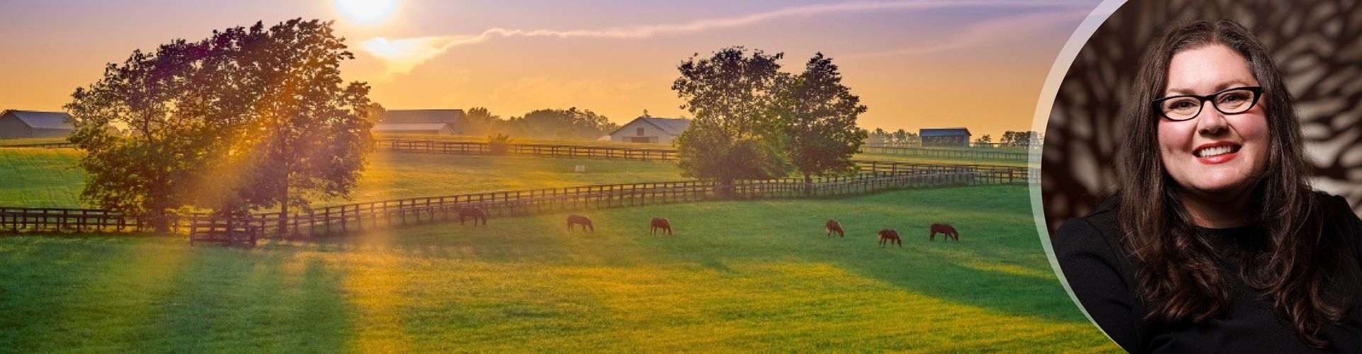 Vanessa Grossl About Page Banner