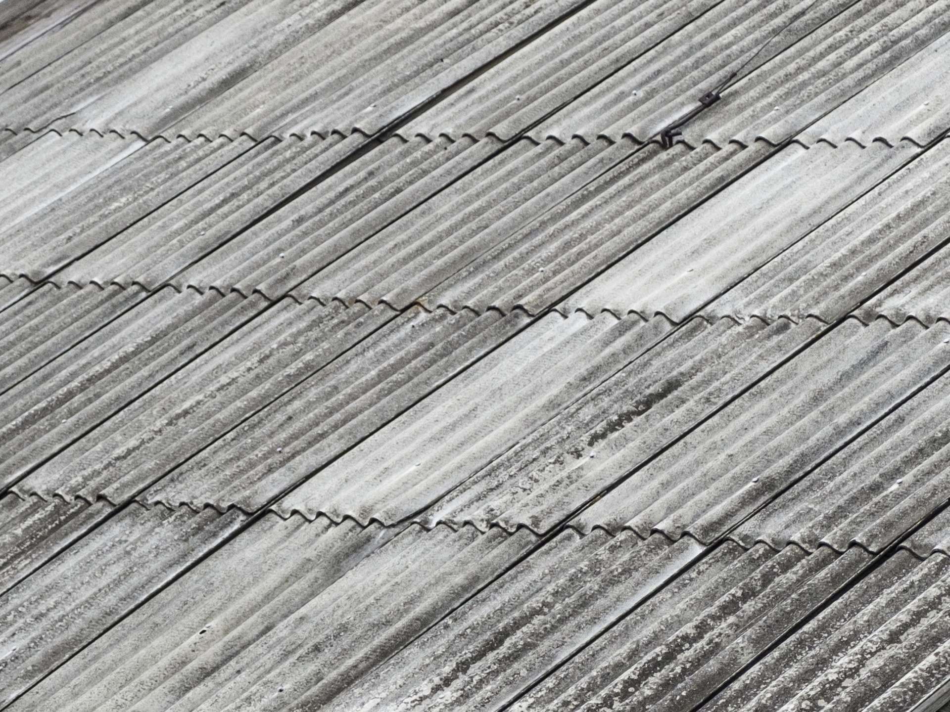 Trattamenti protettivi e conservativi