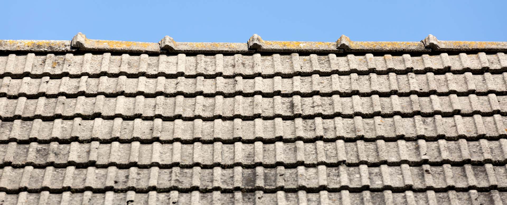 Bonifica e rifacimento