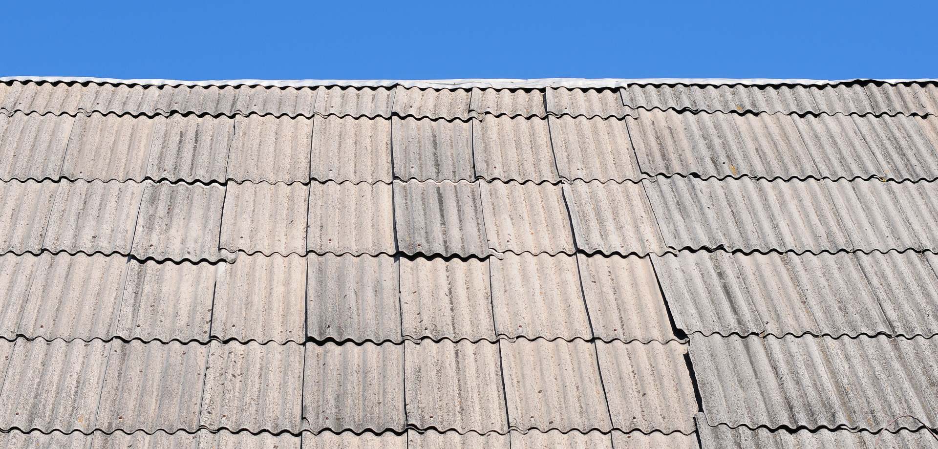 Bonifiche e ablazione