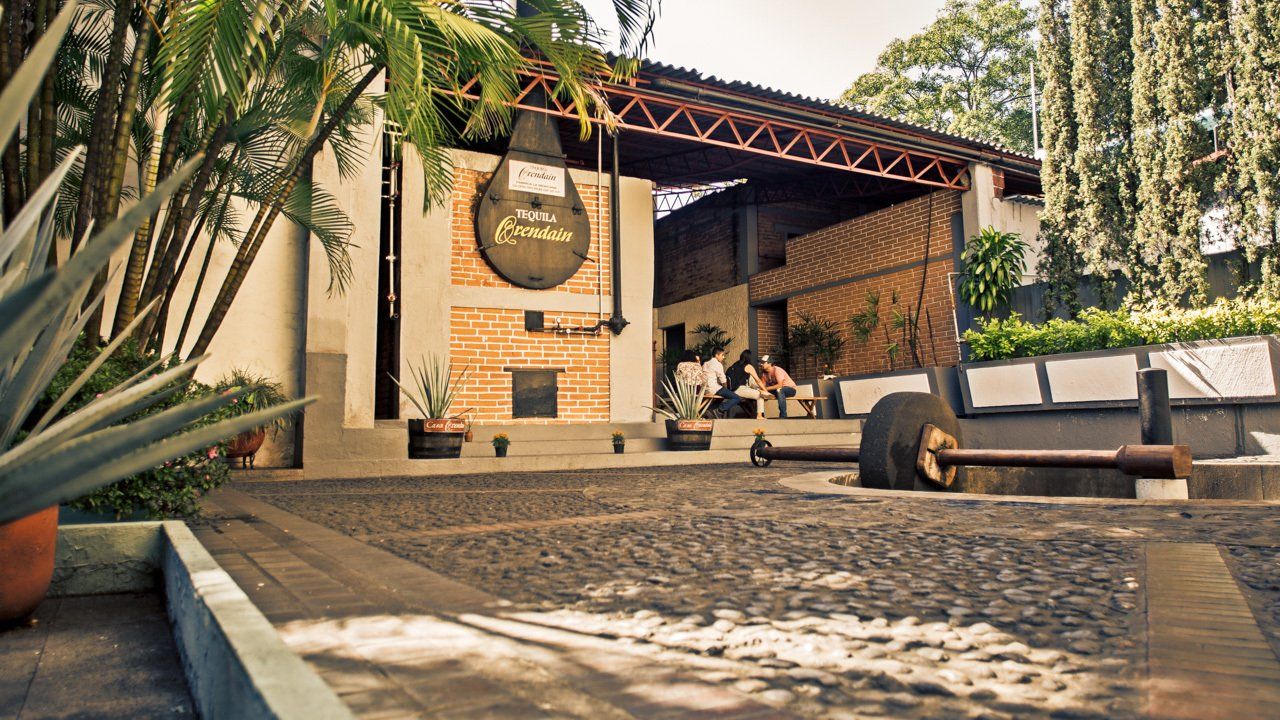 Recorridos destilerias la ruta del tequila jalisco tour casa orendain