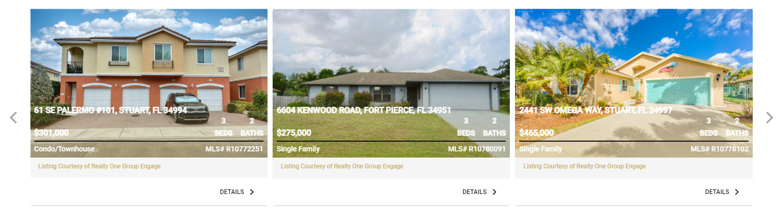 Diane Horan Realtor and Home Staging Professional Designer with Realty One Group Engage Realty Stuart Jensen