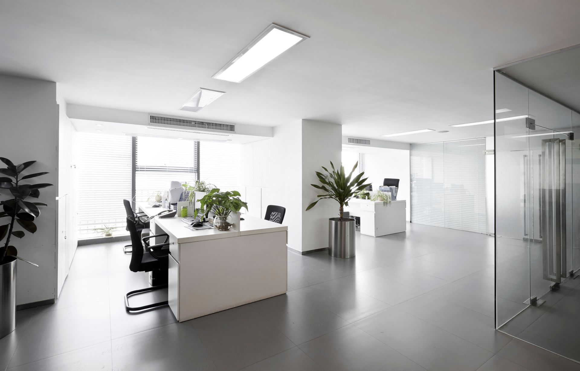 Modern open-plan office with white desks, chairs, plants, and glass meeting room partition Modern open-plan office with white desks, chairs, plants, and glass meeting room partition