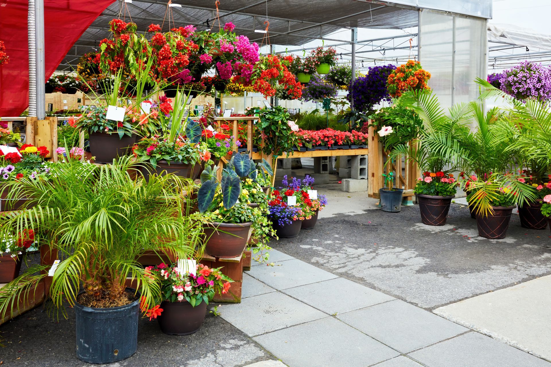 Flower-filled greenhouse aisle with hanging baskets, potted plants, and colorful blooms