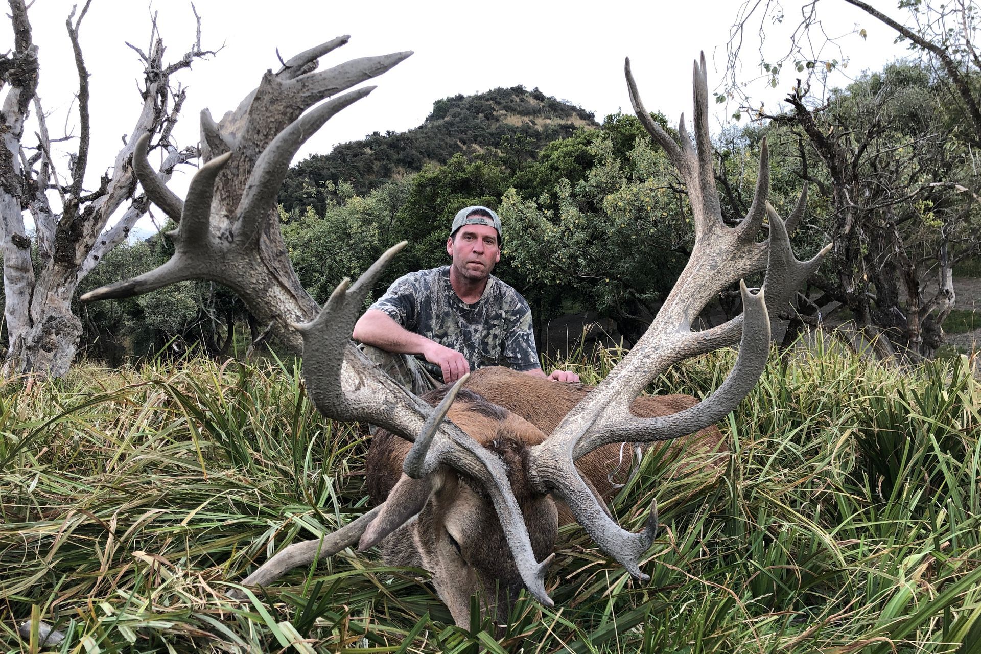 Man in camouflage kneeling next to a large stag with impressive antlers in a grassy, outdoor setting.