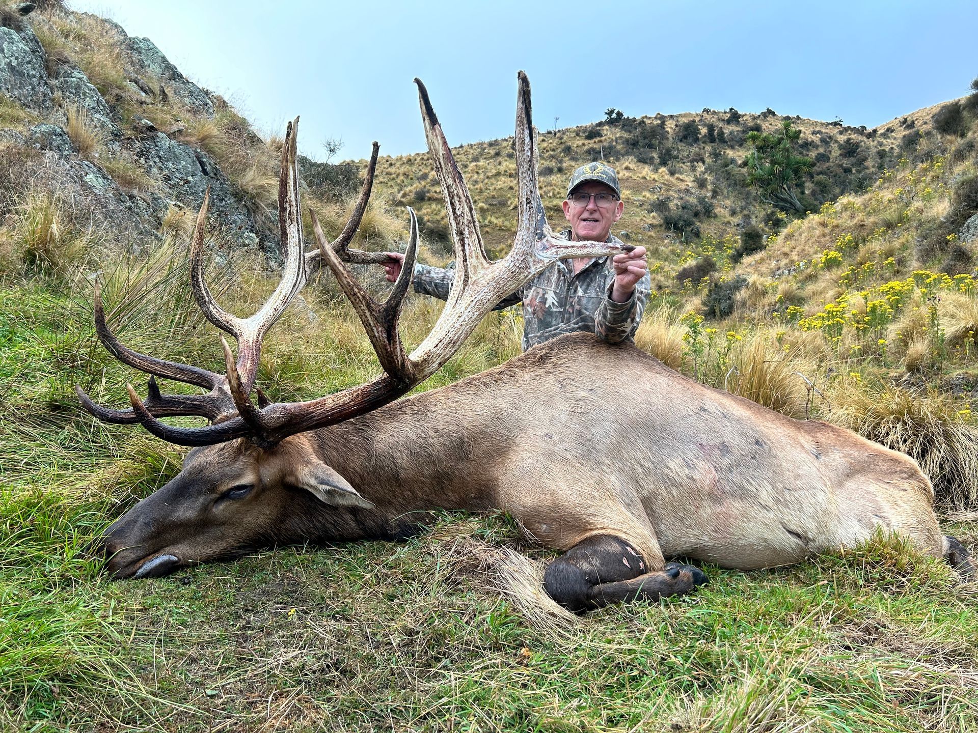 Man in camouflage holds a large elk with impressive antlers, lying on grassy hillside.