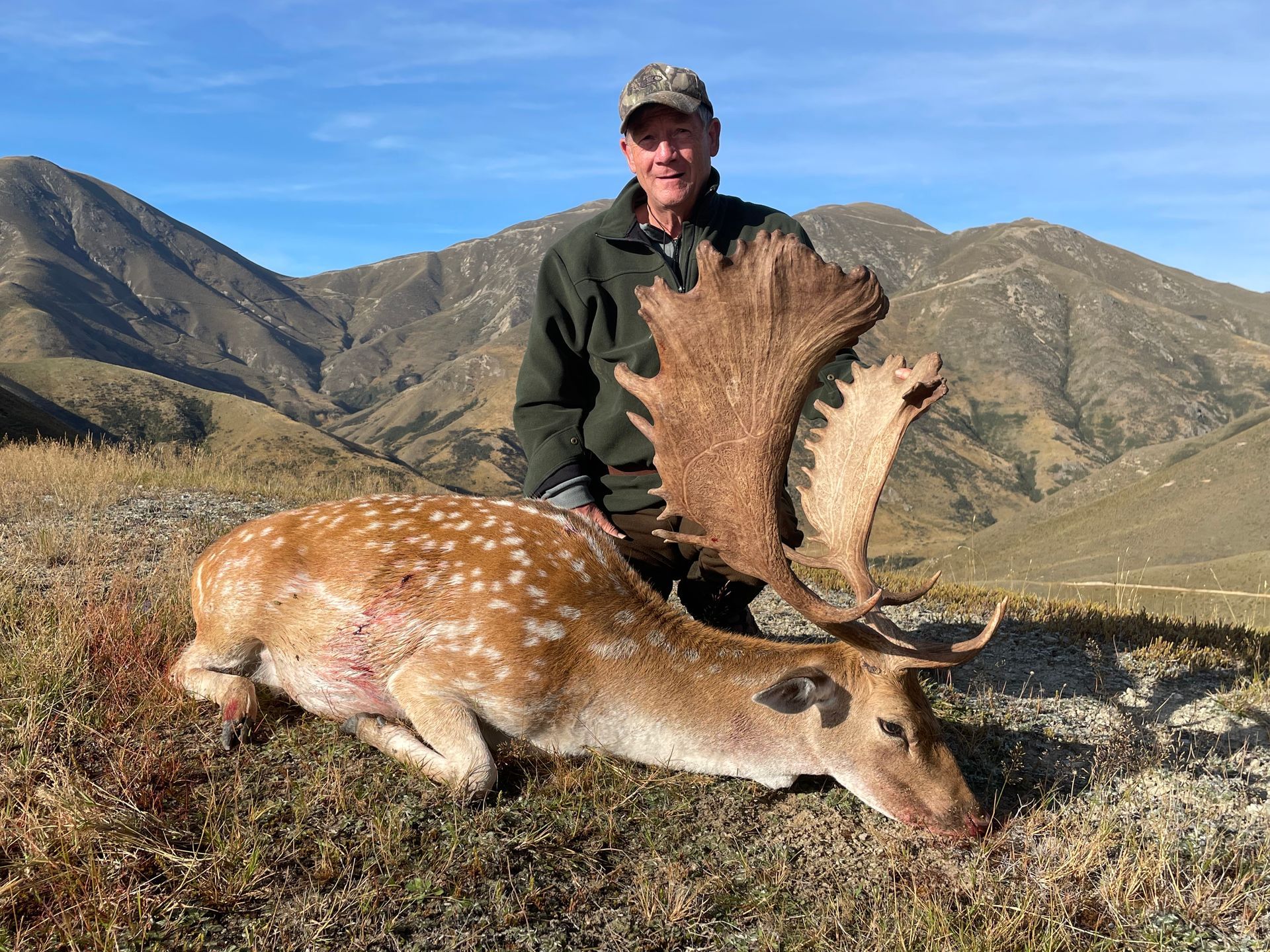 Hunter with a large fallow deer he has just killed in a mountain landscape. The deer has large antlers and spotted fur.