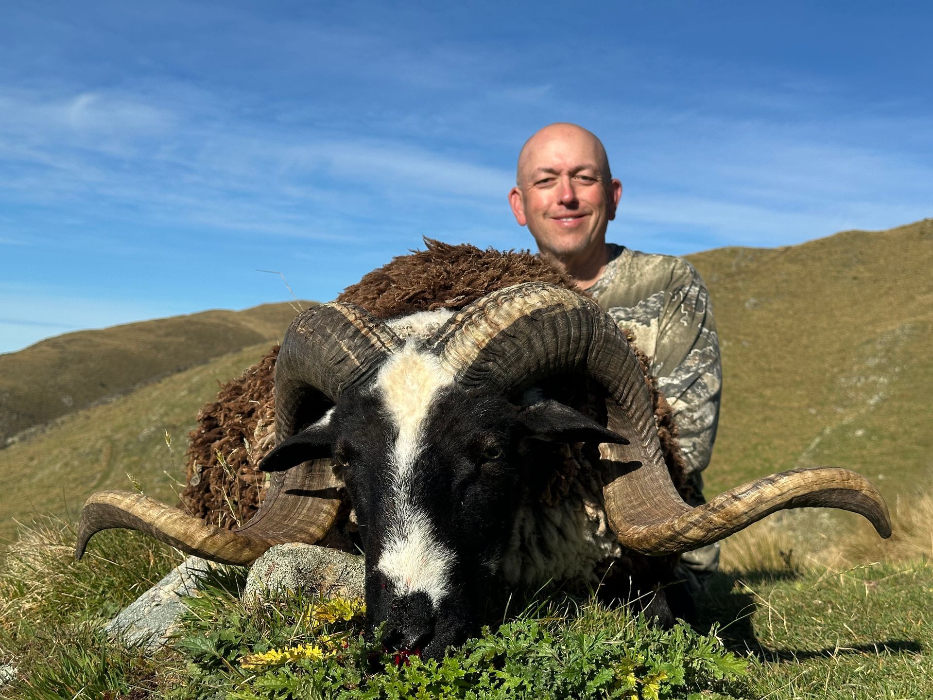 Bald man in camouflage holds the head of a black-and-white ram with large horns in a grassy mountain setting.