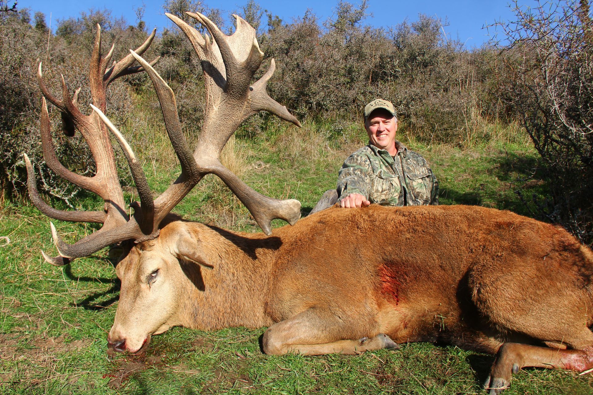 Hunter in camouflage posing with a large, dead red deer in a grassy outdoor setting. Deer has large antlers and a visible wound.