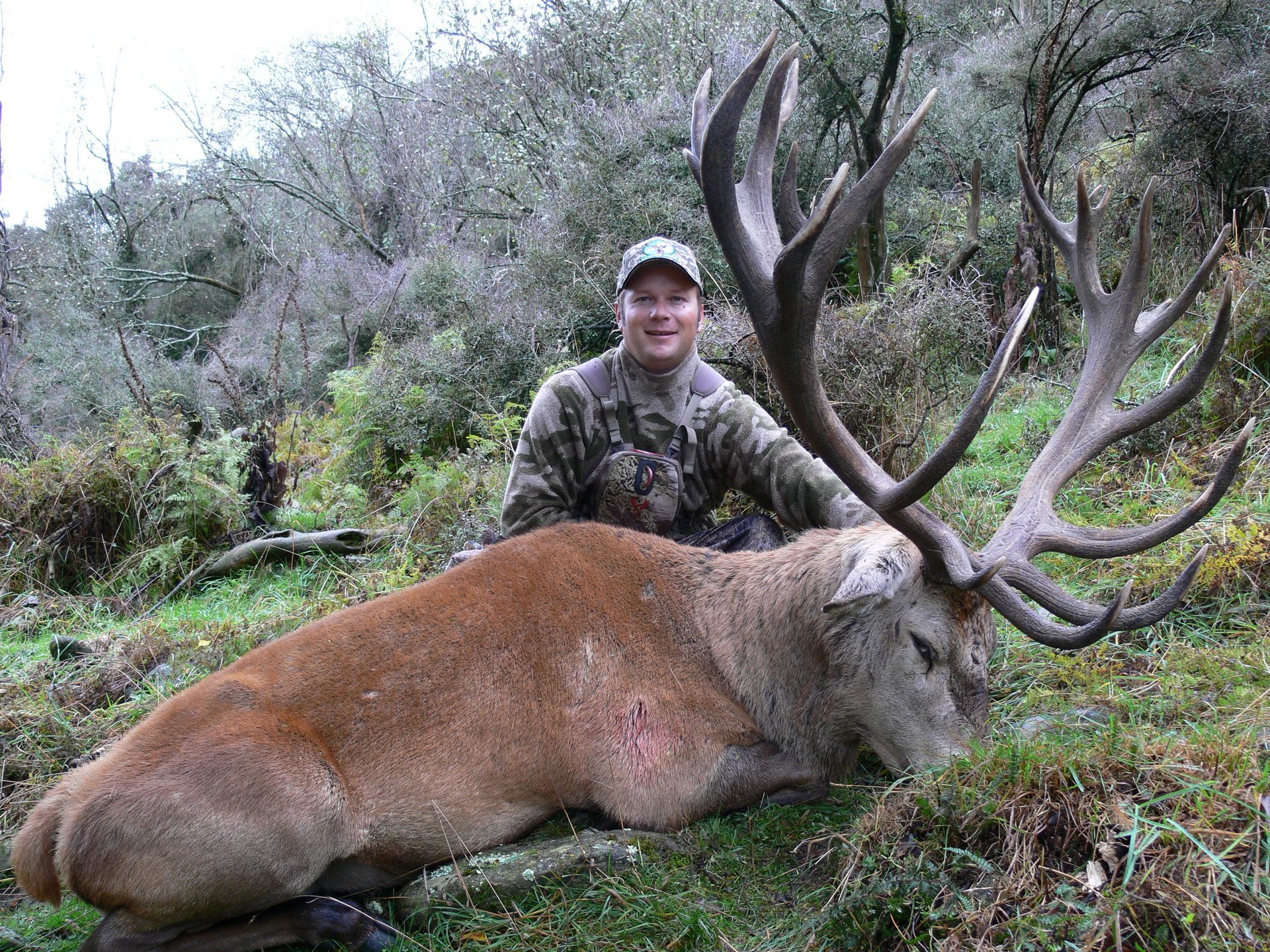 Man in camouflage kneeling next to a large, dead red deer with impressive antlers in a wooded area.