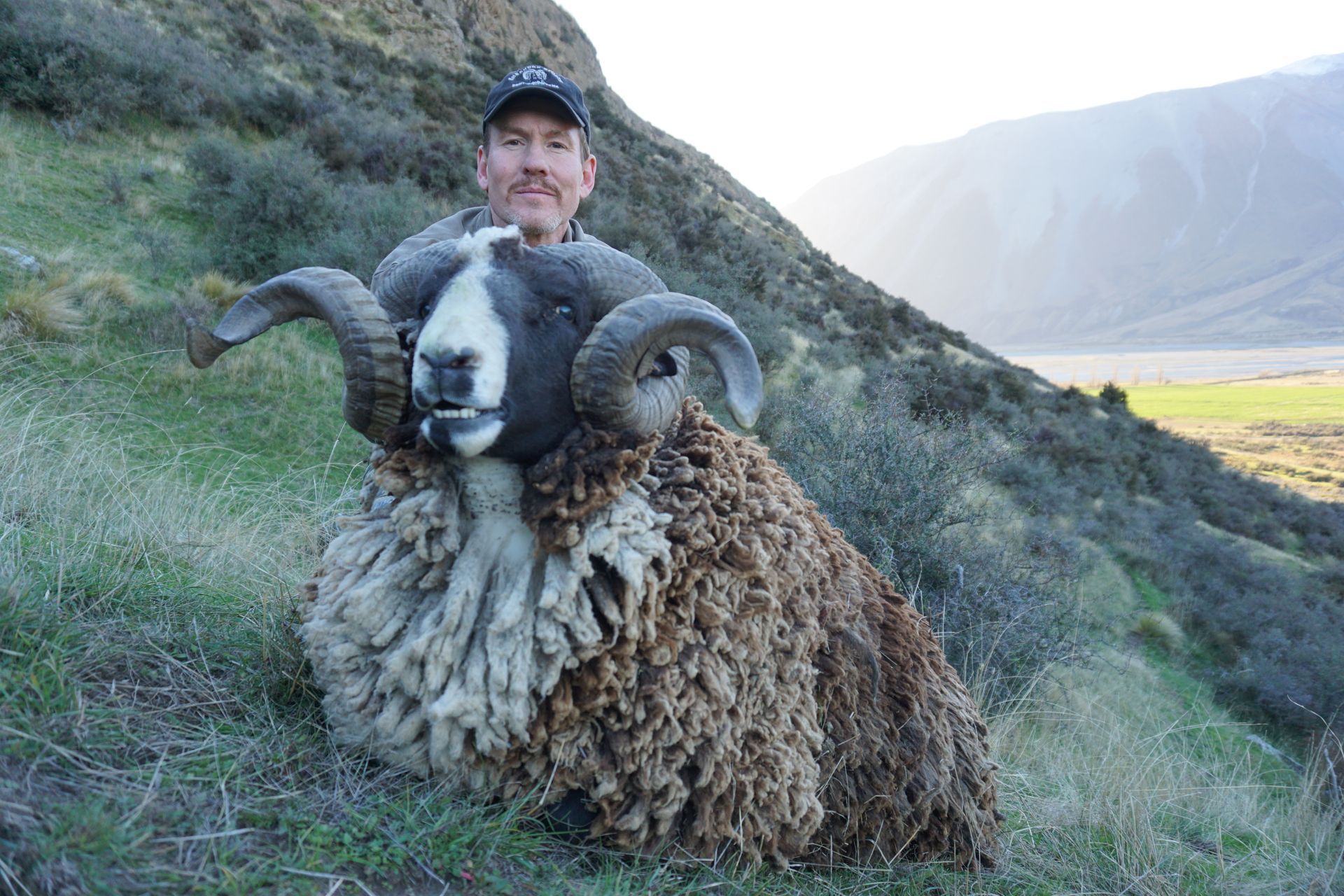 Man poses with a large, woolly ram in a grassy mountain setting. The ram has large, curved horns and a white face.