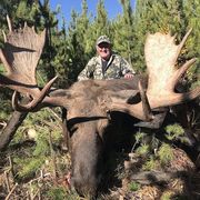 Man in camouflage smiles, posing behind a large, dead moose with massive antlers, in a forest setting.